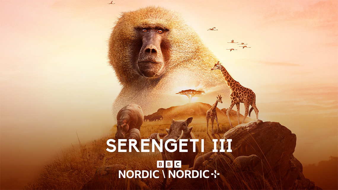 Serengeti III