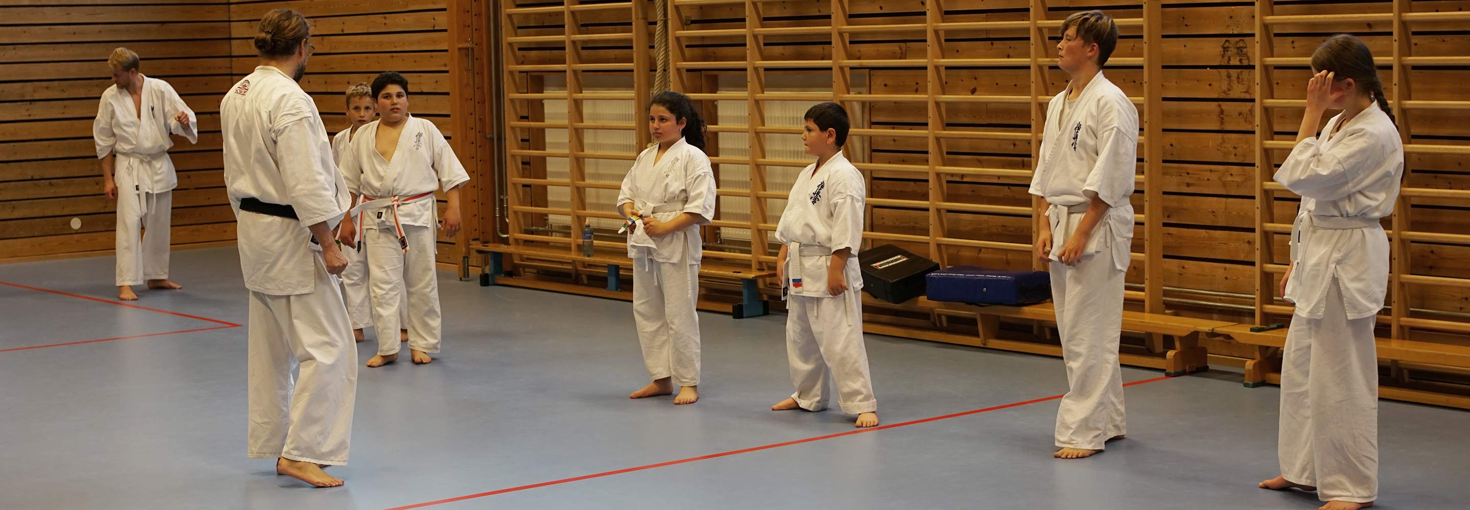 romerike karateklubb