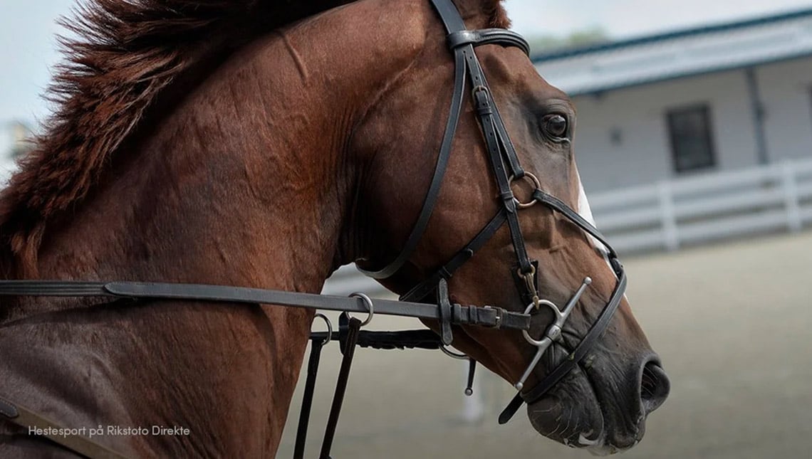 © 2021 Riks Toto Riks Toto